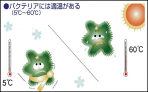 バクテリアには適温がある（5℃〜60℃）